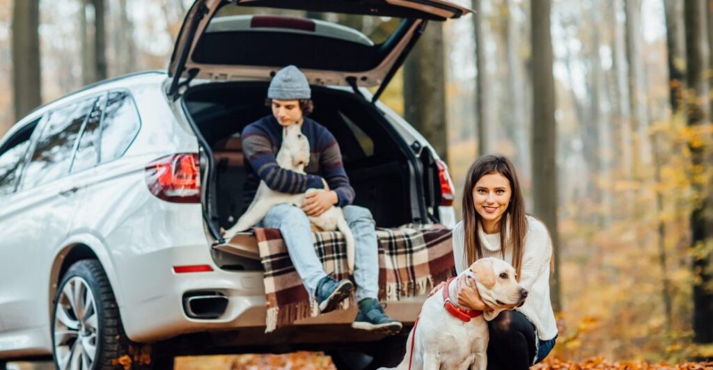 Consejos para cuidar tu coche en otoño
